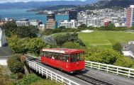 Private Wellington Full Day Tour