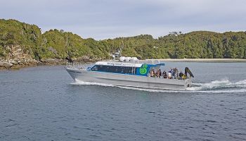Coach & Ferry Combo: Invercargill to Stewart Island