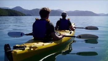 Marlborough Sounds Sea Kayaking