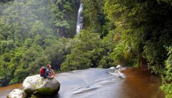 12 Day North Island Bucket List Walk - Lodge Based