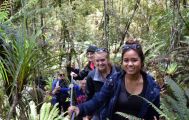 Okarito Cruise and Rainforest Walk (2 hr)