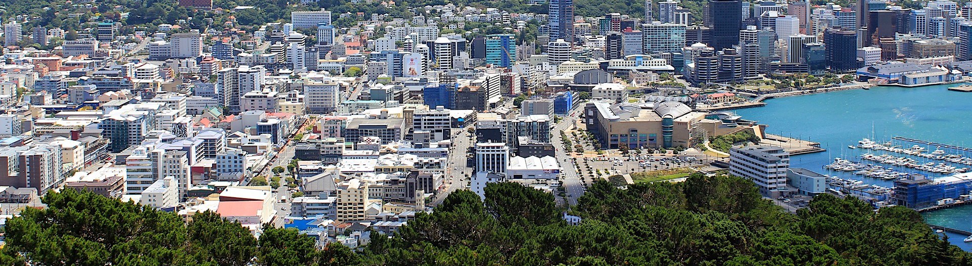 Napier Highlights & Wellington Highlights - Twin City 